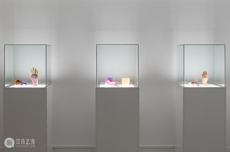 ASE现场｜解读医学原型单元：身体结构与艺术想象——“面对面”的对话 崇真艺客