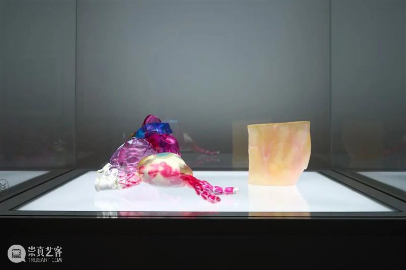 ASE现场｜解读医学原型单元：身体结构与艺术想象——“面对面”的对话 崇真艺客