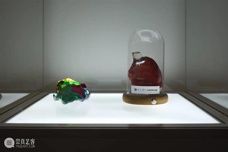 ASE现场｜解读医学原型单元：身体结构与艺术想象——“面对面”的对话 崇真艺客