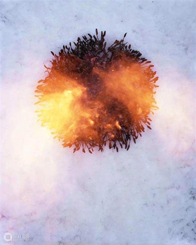 PF播报 | 摄影大师马丁·帕尔去世；广州影像三年展即将呈现；第七届IDPA无像摄影样书奖展正在进行中；埃里克·索斯亮相宁波 崇真艺客