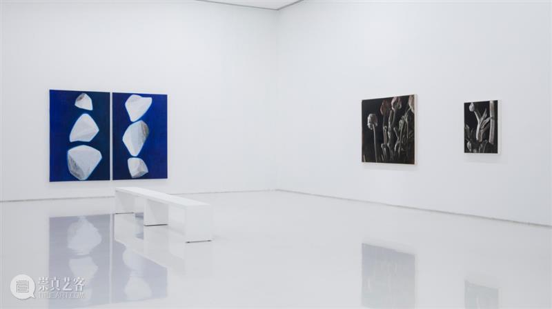 画画_石至莹、周胤辰、赵舒燕三人展｜国家美术·关注 崇真艺客