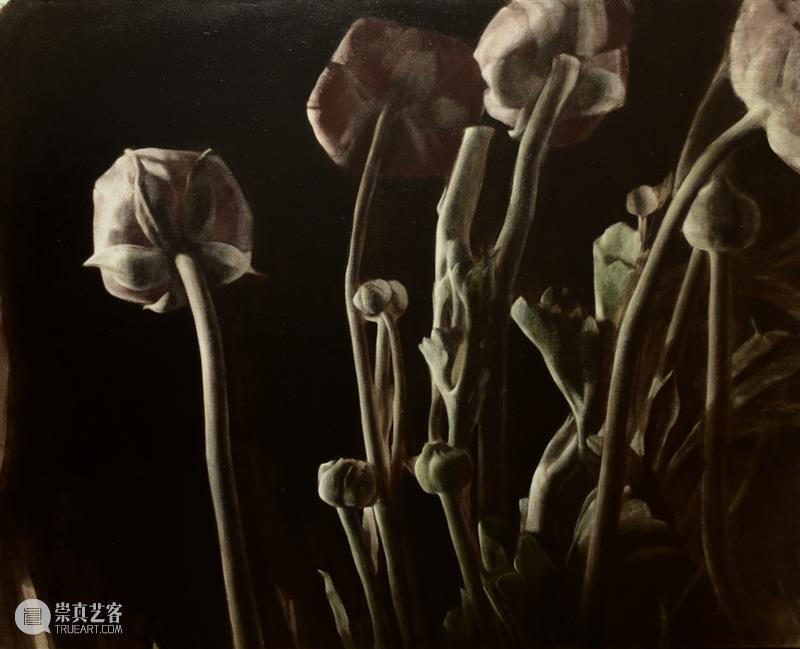 画画_石至莹、周胤辰、赵舒燕三人展｜国家美术·关注 崇真艺客