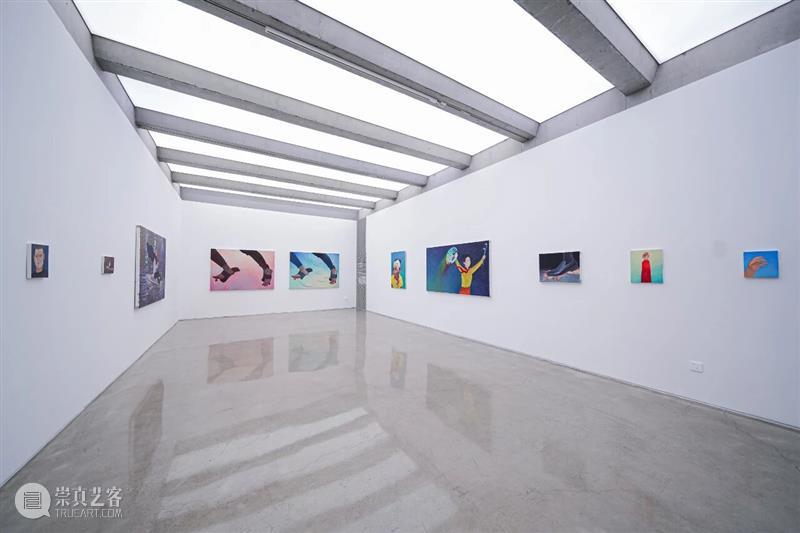 偏锋 评论 | 雷徕《赵延斌｜明天去晒太阳吧》 崇真艺客