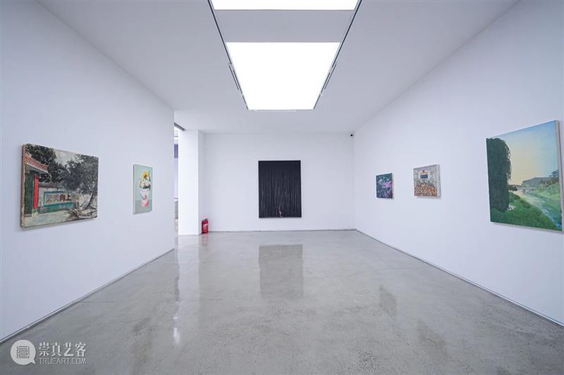 偏锋 评论 | 雷徕《赵延斌｜明天去晒太阳吧》 崇真艺客