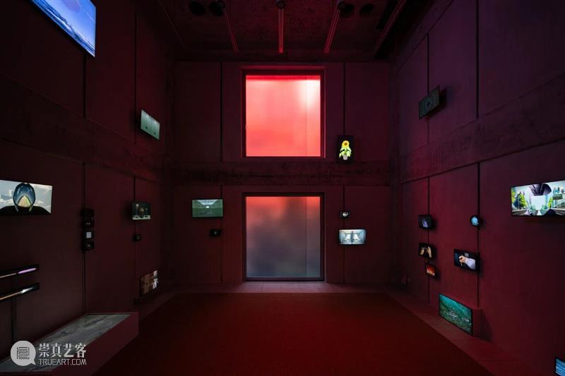 新讯丨何子彦荣登《ArtReview》Power 100榜单第5位 崇真艺客