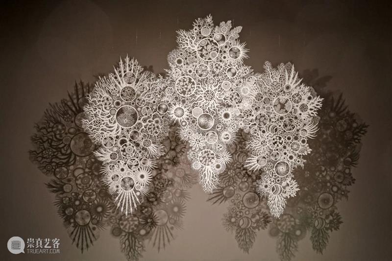 开幕 | “从洛桑到北京”第十三届国际纤维艺术双年展 崇真艺客