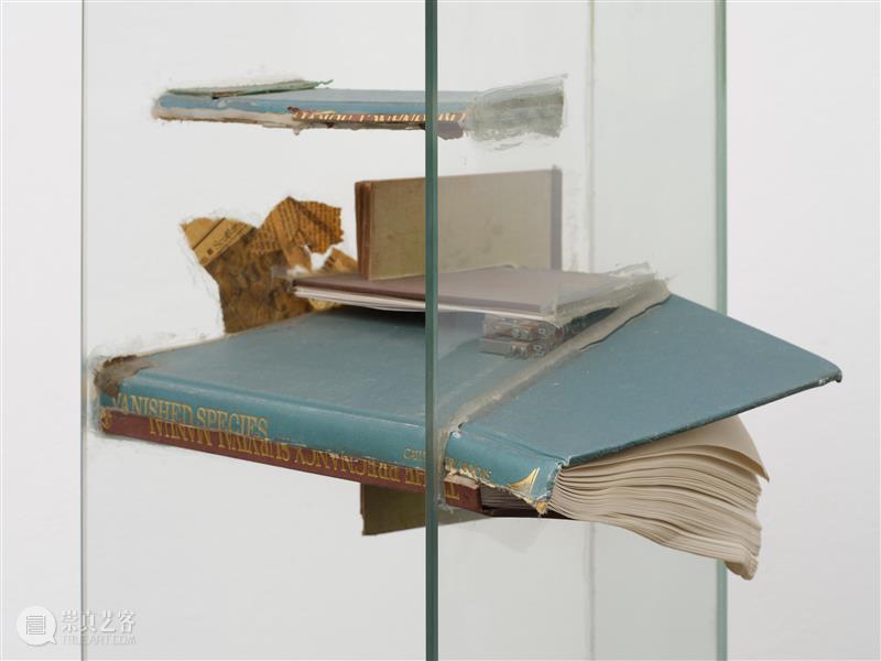 正在展出 | 里森街计划 (I) | 露西·瑞文、理查德·朗、约翰·莱瑟姆 崇真艺客