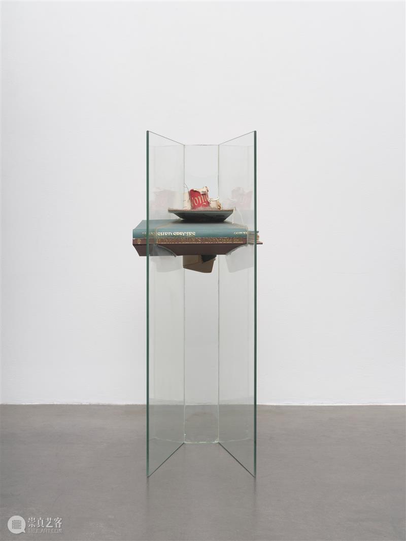 正在展出 | 里森街计划 (I) | 露西·瑞文、理查德·朗、约翰·莱瑟姆 崇真艺客