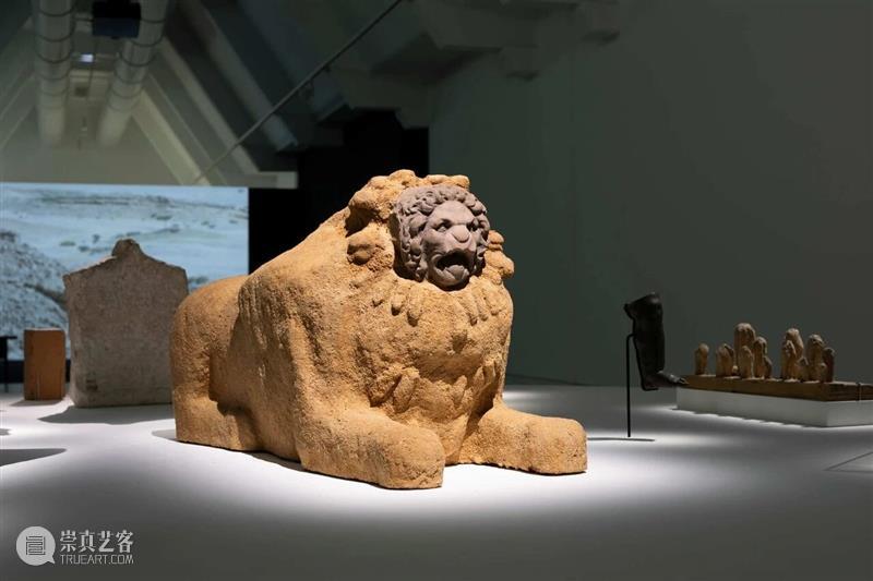 展览现场｜阿里·谢里（Ali Cherri）「守夜人」@ 法国马赛当代艺术博物馆 崇真艺客