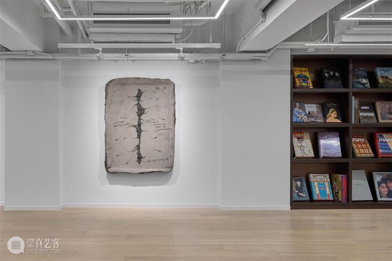 策展人专访：医学与艺术策展的哲思和实践 崇真艺客