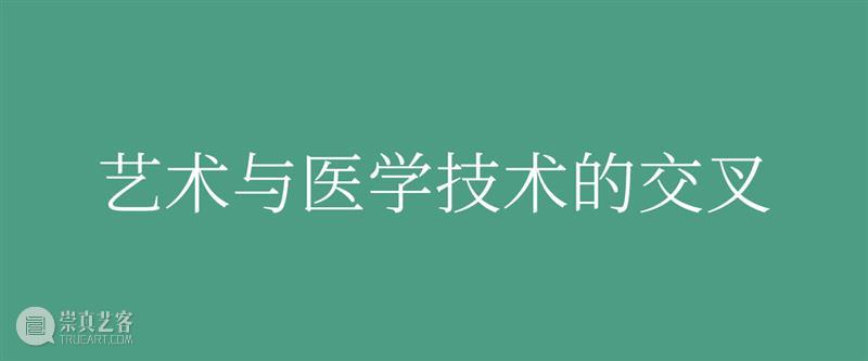 策展人专访：医学与艺术策展的哲思和实践 崇真艺客