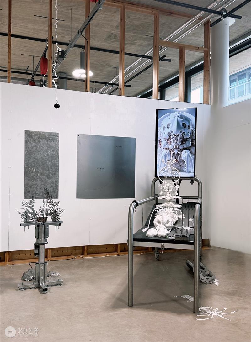 策展人专访：医学与艺术策展的哲思和实践 崇真艺客