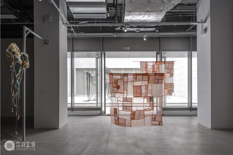 策展人专访：医学与艺术策展的哲思和实践 崇真艺客