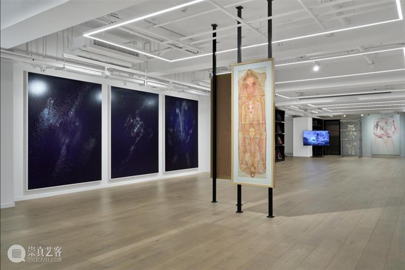 策展人专访：医学与艺术策展的哲思和实践 崇真艺客