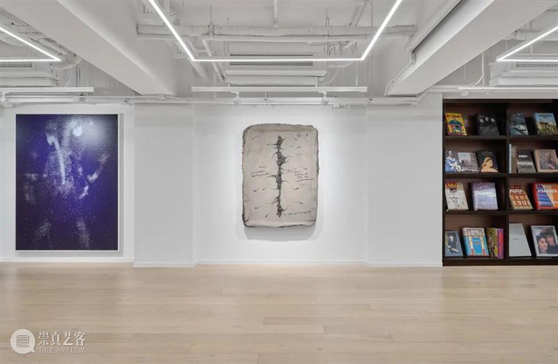 祝羽捷｜肉身迷航：医学、艺术与存在的星图 崇真艺客