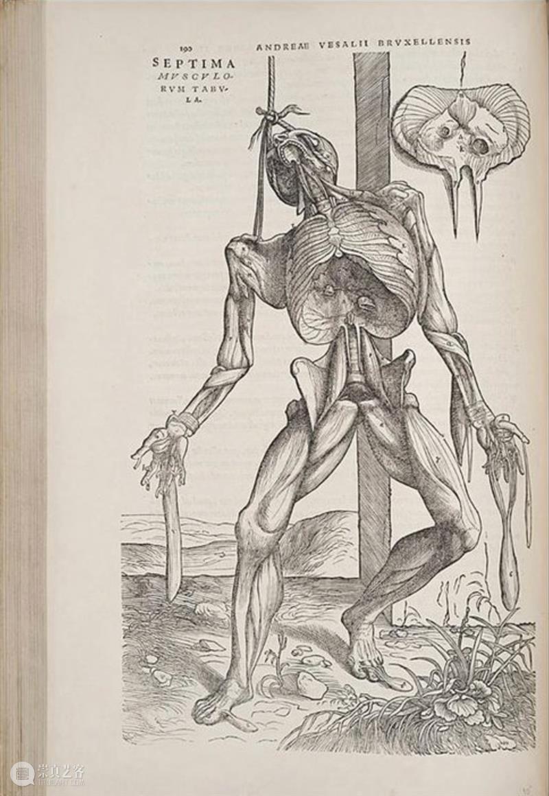 祝羽捷｜肉身迷航：医学、艺术与存在的星图 崇真艺客