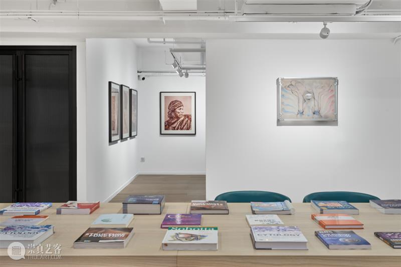 祝羽捷｜肉身迷航：医学、艺术与存在的星图 崇真艺客