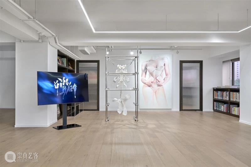 祝羽捷｜肉身迷航：医学、艺术与存在的星图 崇真艺客