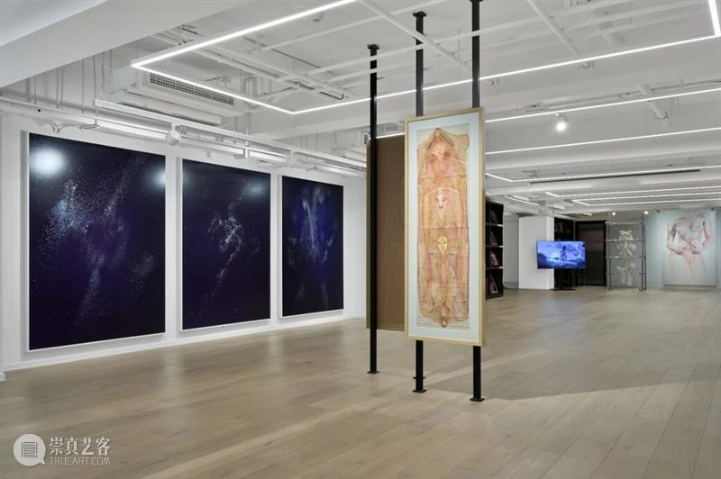 祝羽捷｜肉身迷航：医学、艺术与存在的星图 崇真艺客