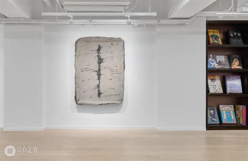 祝羽捷｜肉身迷航：医学、艺术与存在的星图 崇真艺客