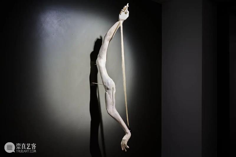 祝羽捷｜肉身迷航：医学、艺术与存在的星图 崇真艺客