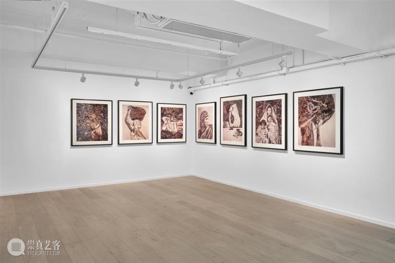 祝羽捷｜肉身迷航：医学、艺术与存在的星图 崇真艺客