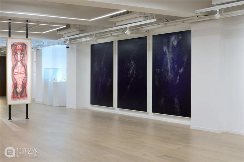 祝羽捷｜肉身迷航：医学、艺术与存在的星图 崇真艺客