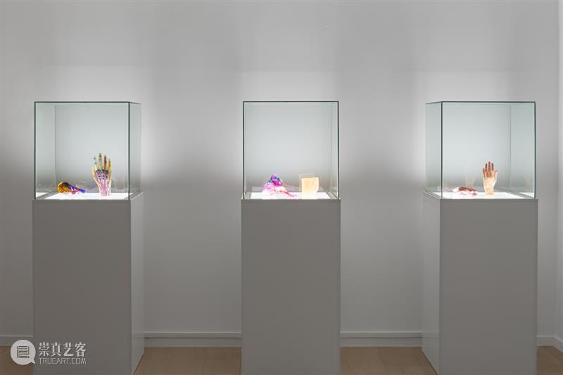 祝羽捷｜肉身迷航：医学、艺术与存在的星图 崇真艺客