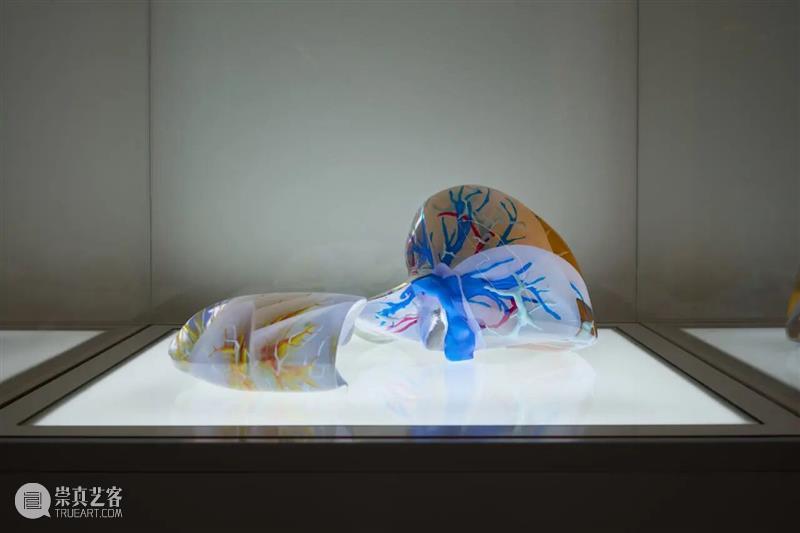 祝羽捷｜肉身迷航：医学、艺术与存在的星图 崇真艺客