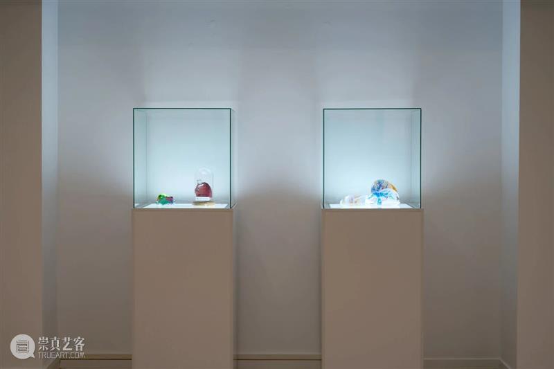 祝羽捷｜肉身迷航：医学、艺术与存在的星图 崇真艺客