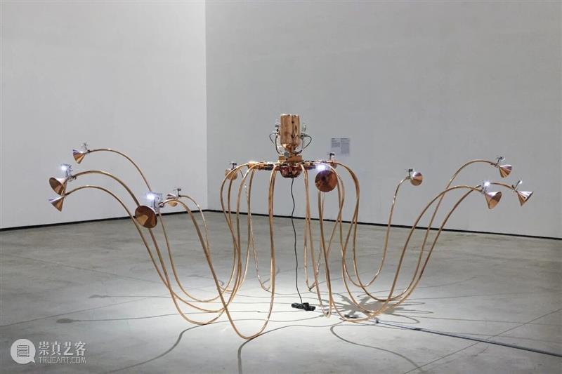 空气有限，呼吸有期，远古的封装氧气限量贩卖 崇真艺客