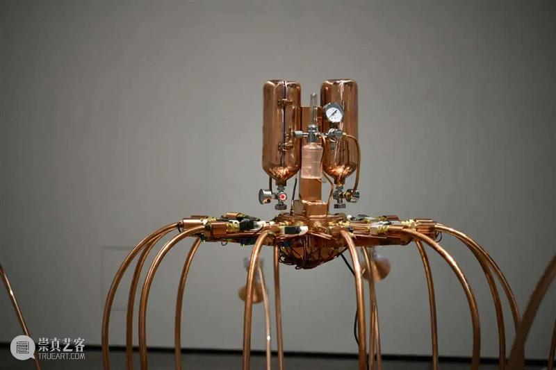 空气有限，呼吸有期，远古的封装氧气限量贩卖 崇真艺客