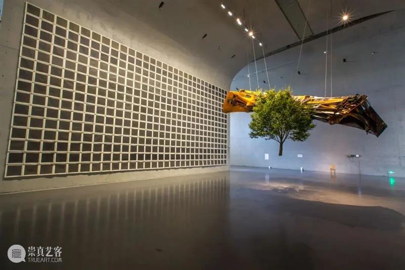 对话回顾｜从“人类中心”到“人机共生”，需要一份新的生存指南 崇真艺客