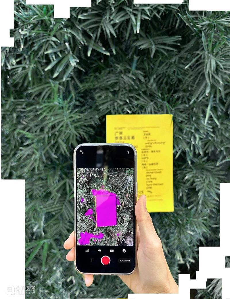 广州影像三年展 2025 主视觉出炉！以 “感知生态学” 重构视觉新维度 崇真艺客