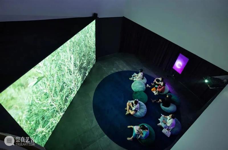 广州影像三年展 2025 主视觉出炉！以 “感知生态学” 重构视觉新维度 崇真艺客