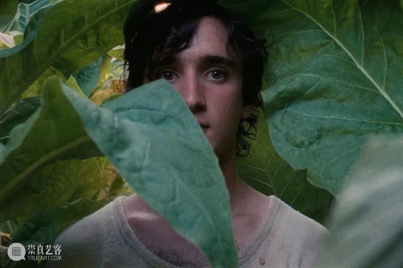 “绝美之城”今晚启幕，明日还有这部既动人、又带着不安魔性的影片展映 崇真艺客