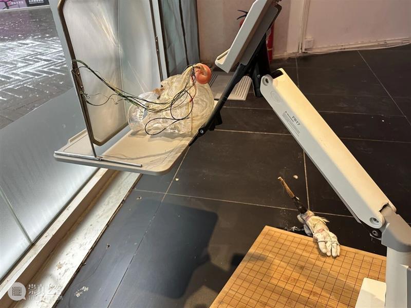 展览现场| 张一《故事新编》| 今日·蔡锦空间 崇真艺客