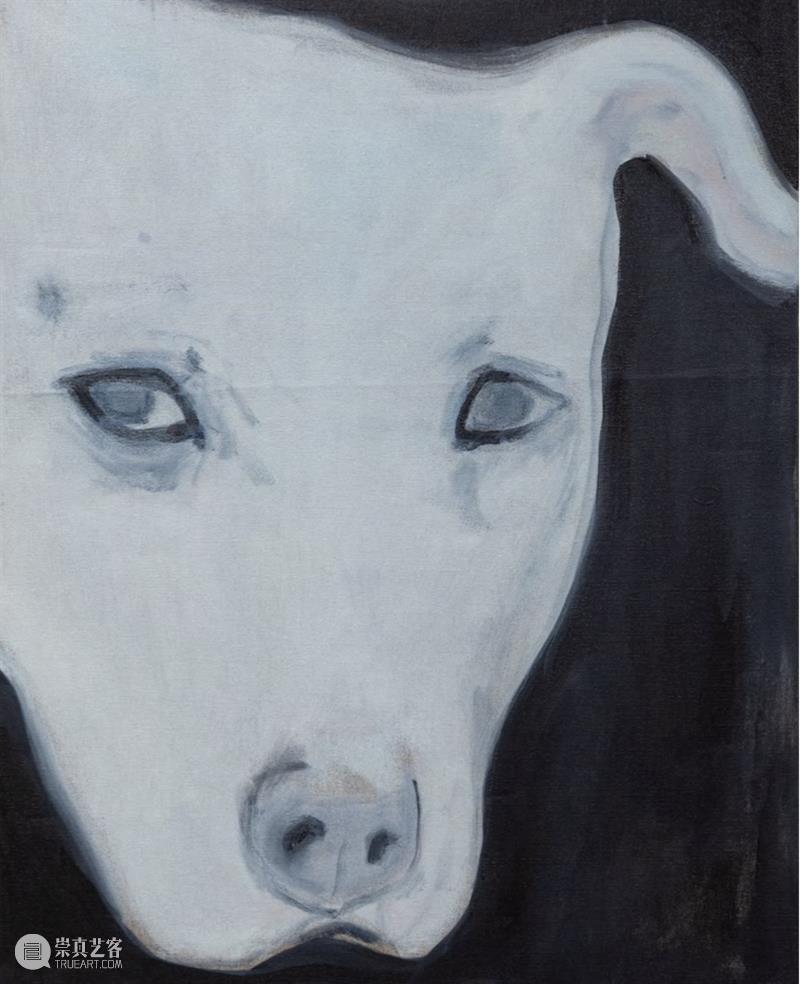 2025 魔灯当代艺博会｜展位D01｜艺术家推荐②｜TONG GALLERY+PROJECTS 崇真艺客