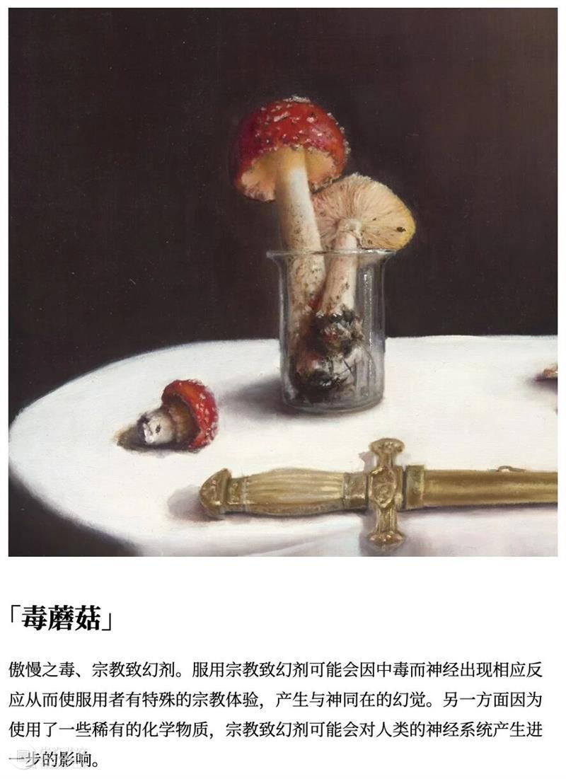作品赏析 | 静物、身体与蜕变仪式 崇真艺客