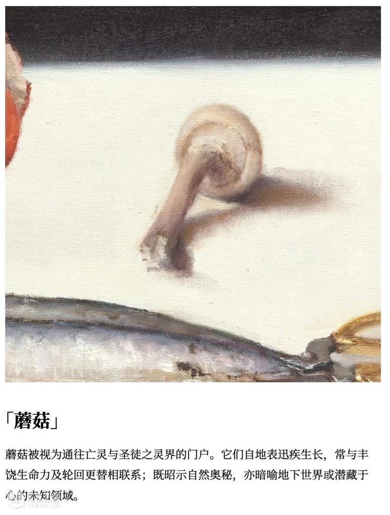 作品赏析 | 静物、身体与蜕变仪式 崇真艺客