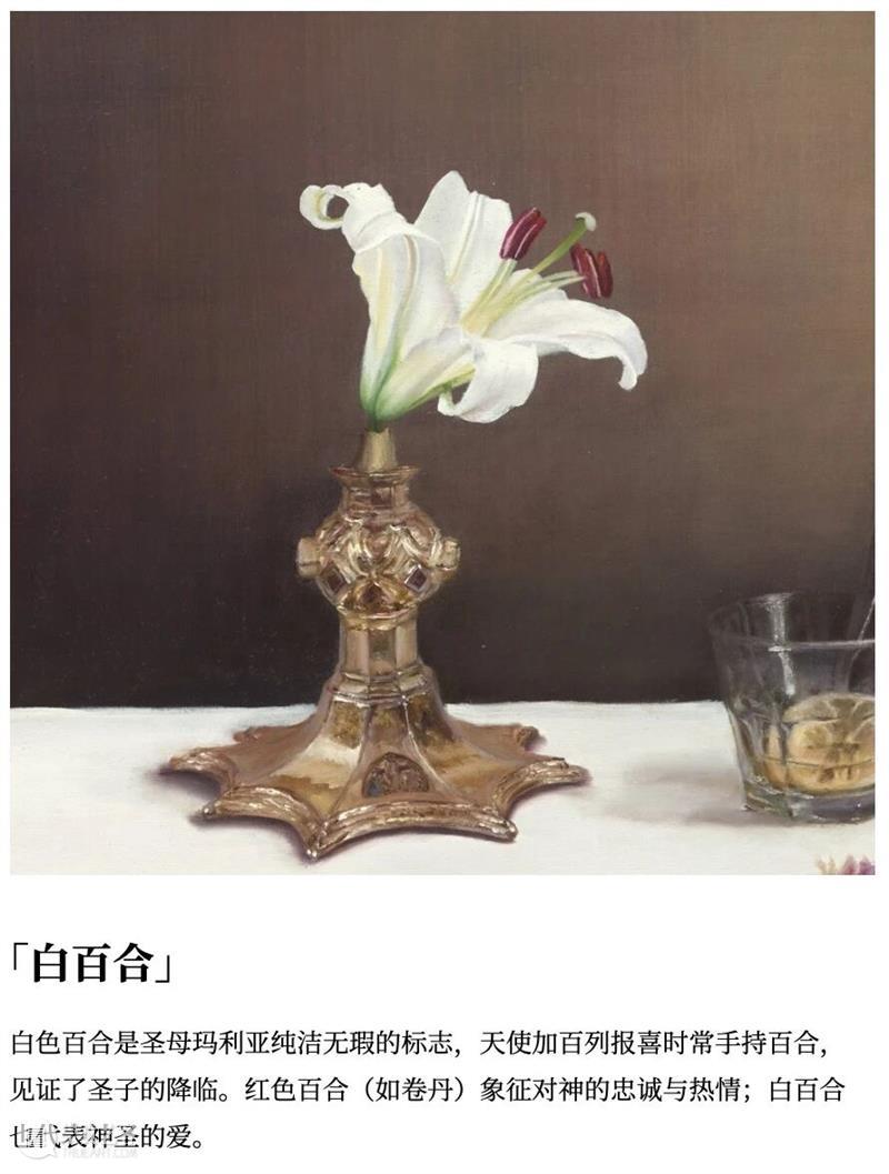 作品赏析 | 静物、身体与蜕变仪式 崇真艺客