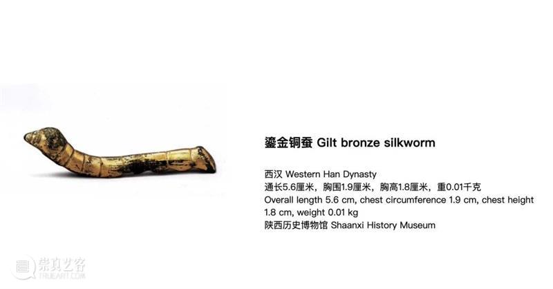 作品赏析 | 静物、身体与蜕变仪式 崇真艺客