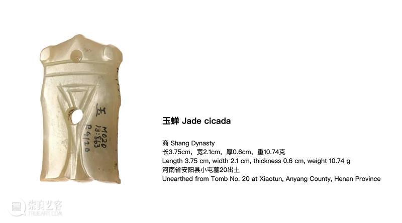 作品赏析 | 静物、身体与蜕变仪式 崇真艺客