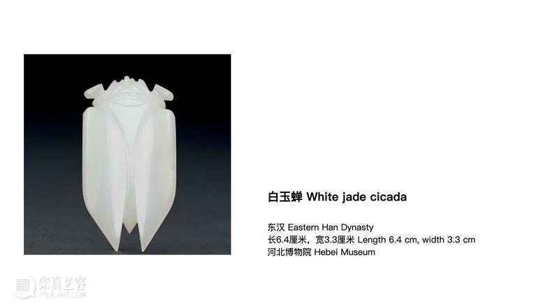 作品赏析 | 静物、身体与蜕变仪式 崇真艺客