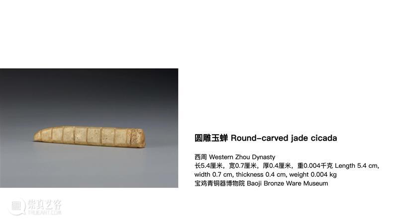 作品赏析 | 静物、身体与蜕变仪式 崇真艺客