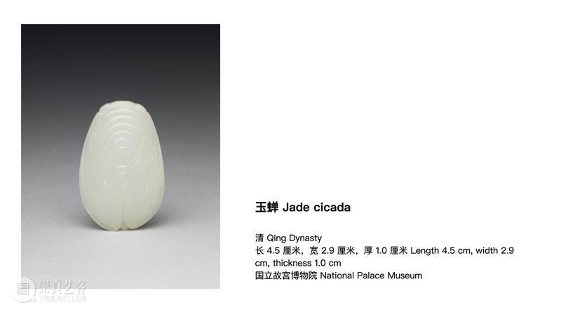 作品赏析 | 静物、身体与蜕变仪式 崇真艺客