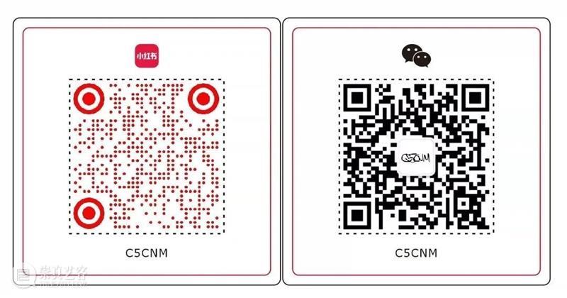 C5CNM |  阎洲：幻僧案 崇真艺客