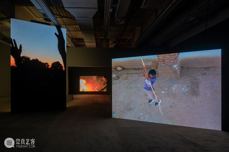 15届上海双年展_开启花儿与蜜蜂的约会｜国家美术·关注 博文精选 丨 崇真艺客