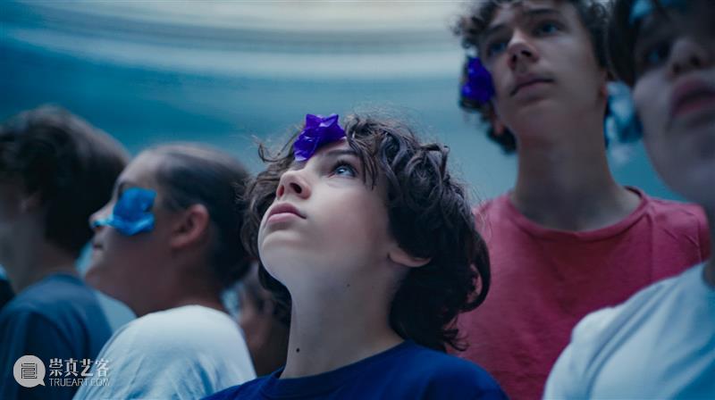 15届上海双年展_开启花儿与蜜蜂的约会｜国家美术·关注 博文精选 丨 崇真艺客