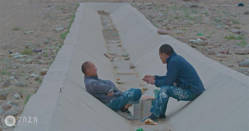 15届上海双年展_开启花儿与蜜蜂的约会｜国家美术·关注 博文精选 丨 崇真艺客